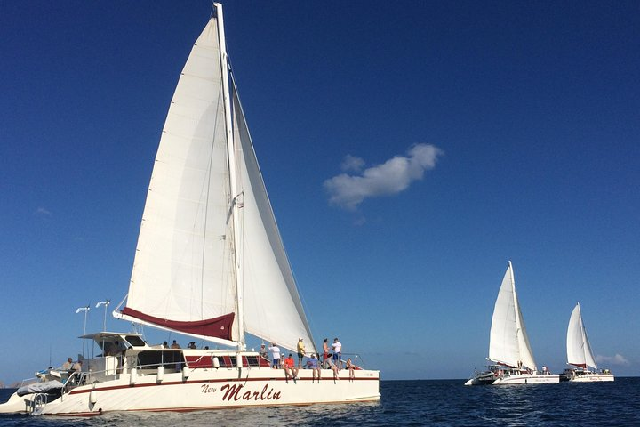 Marlin del Rey Sailing Tours